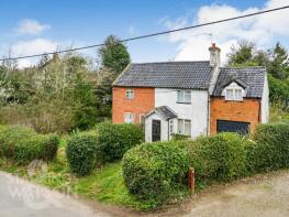 The Cottage, Threadneedle Street, Norwich NR15 1BJ