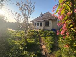 Flora Nyika, Tresmeer, Launceston PL15 8RQ