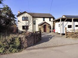 Tigra, Road From Higher Skellies To Ashreigney Cross, Chulmleigh EX18 7NX