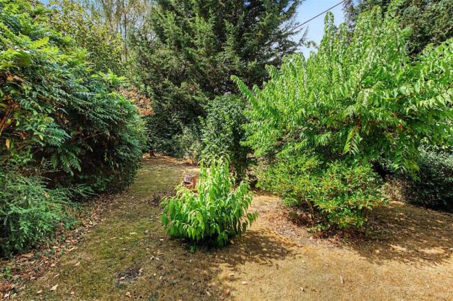 Garden.jpg
