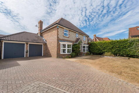 The Violets