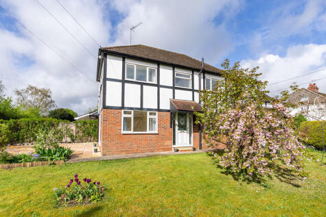 The Borough, Brockham