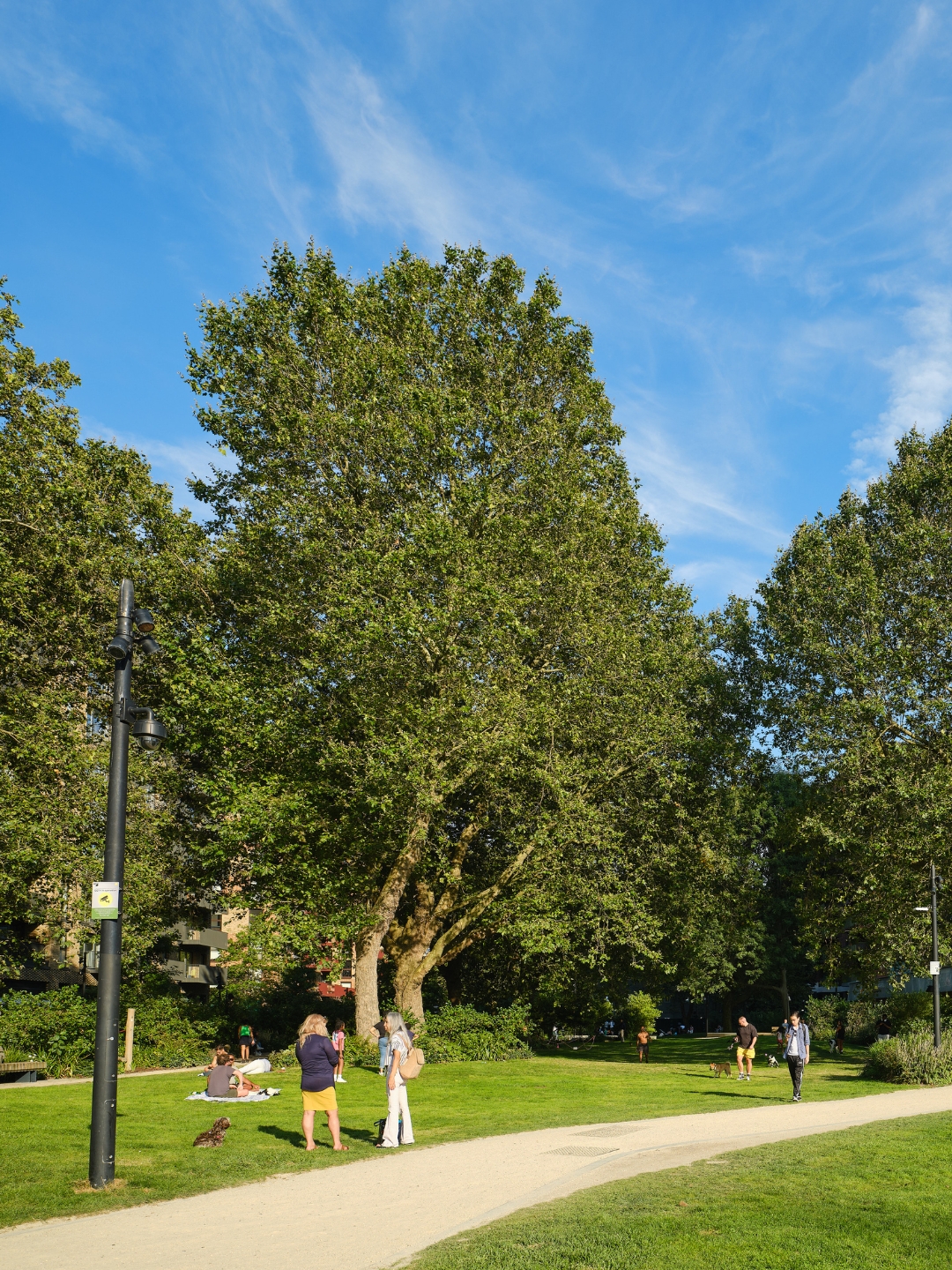 Nearby green spaces