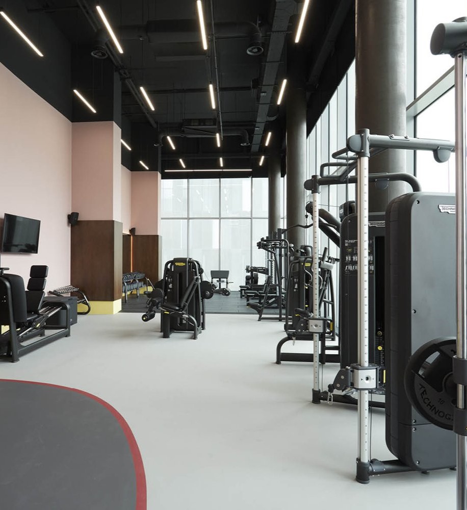 Gym & Fitness Classes