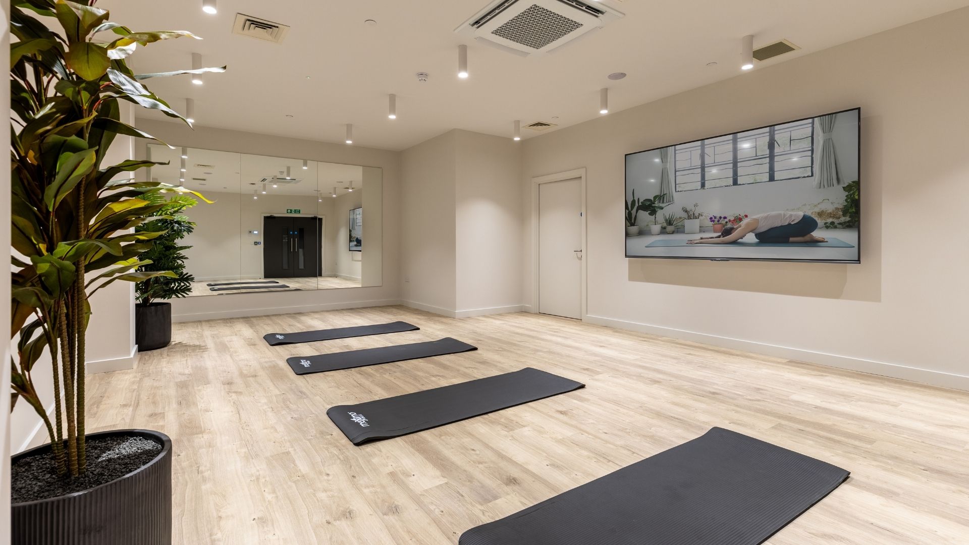 Studio space
