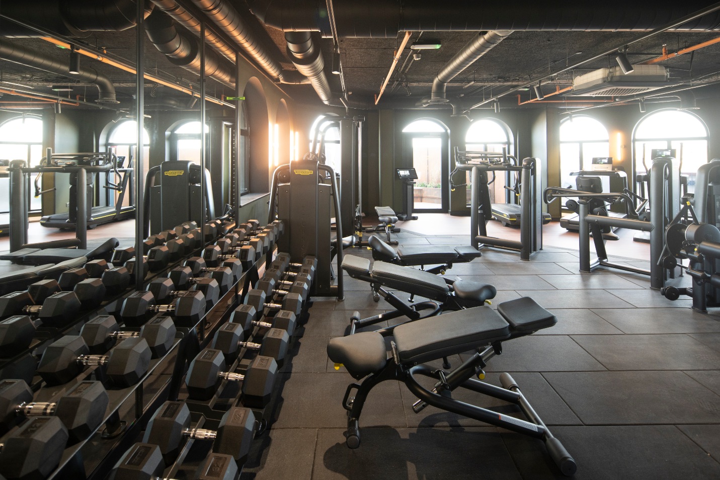 The Gym