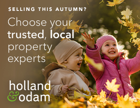 Get brand editions for holland & odam, Street