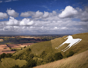 Get brand editions for Davies & Davies, Westbury