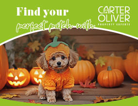 Get brand editions for Carter Oliver Property Experts Ltd, Lutterworth