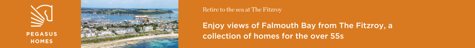 Get brand editions for Pegasus Homes