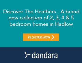 Get brand editions for Dandara
