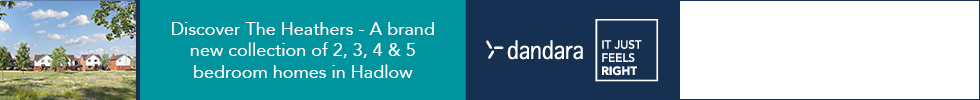 Get brand editions for Dandara
