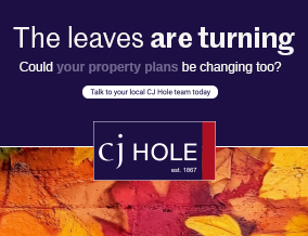 Get brand editions for CJ Hole, Southville