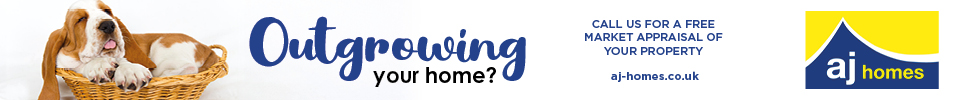 Get brand editions for A J Homes, Winterbourne