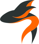 Flying Fish Properties, Tunbridge Wells logo