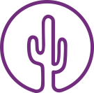 Purple Cactus Properties, Worcester