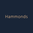 banner logo