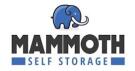 Mammoth Self Storage, Reading logo