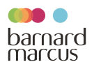 banner logo