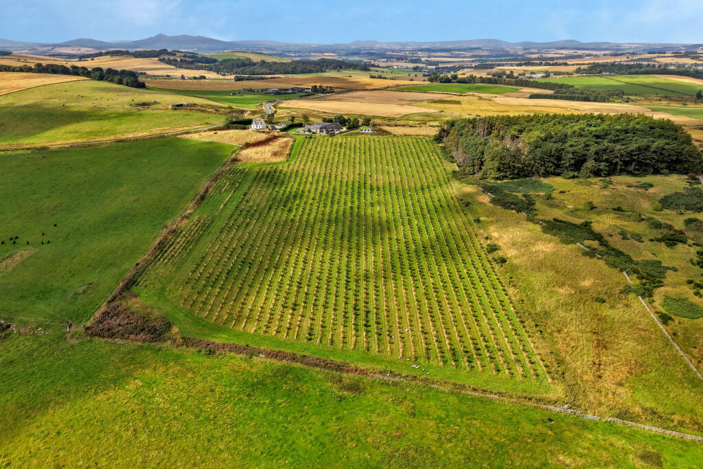 Main image of property: Land & Building at Greystone, Oldmeldrum