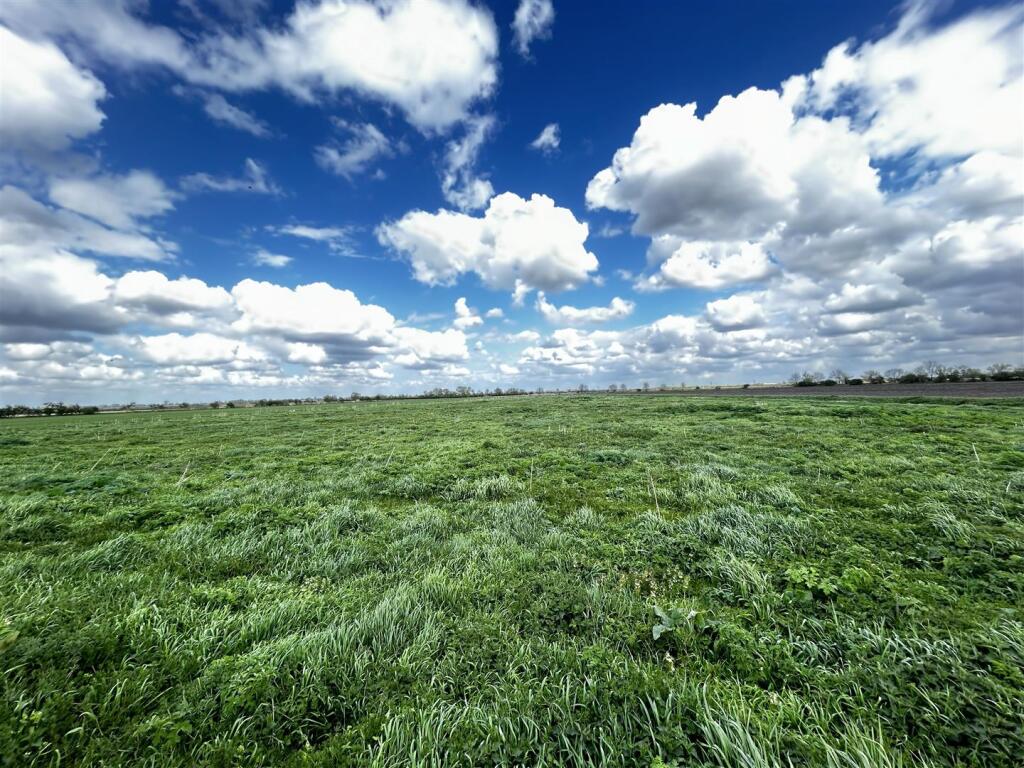 Main image of property: Lot 7 - Land at Great Drove, Hilltop Farm, Reach, Cambridgeshire