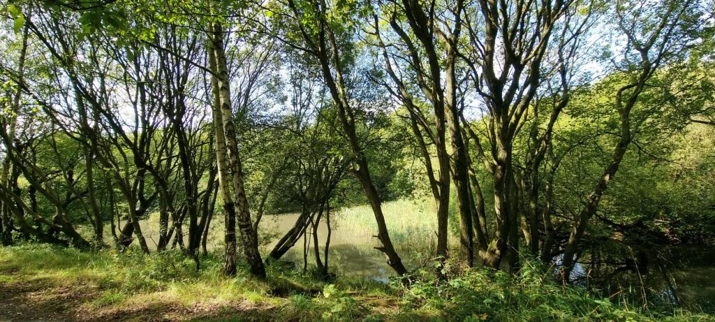 Main image of property: Taylors Lane, Ince-in-Makerfield, Wigan