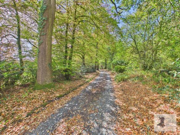 Driveway