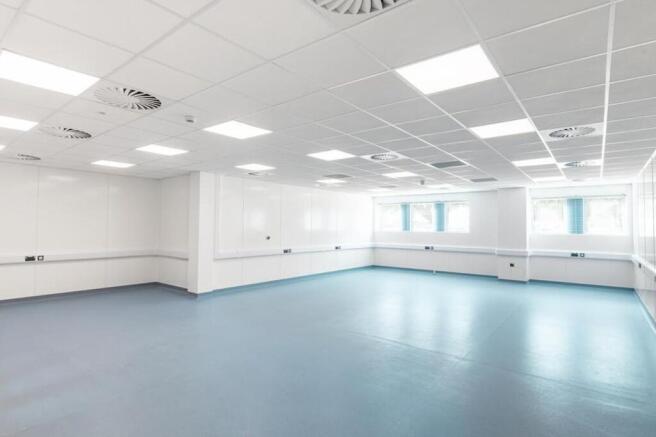 K1 Refurbished Labs-4.jpg