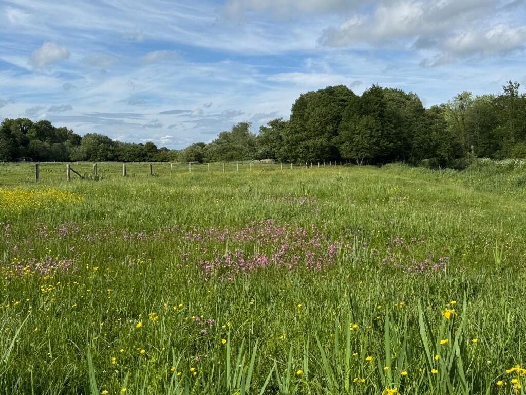 Main image of property: Itchen Water Meadows, Kiln Lane, Otterbourne, Brambridge, Hampshire, SO50 6HT