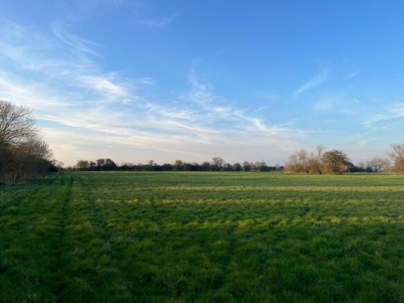 8.02 acres pic 2