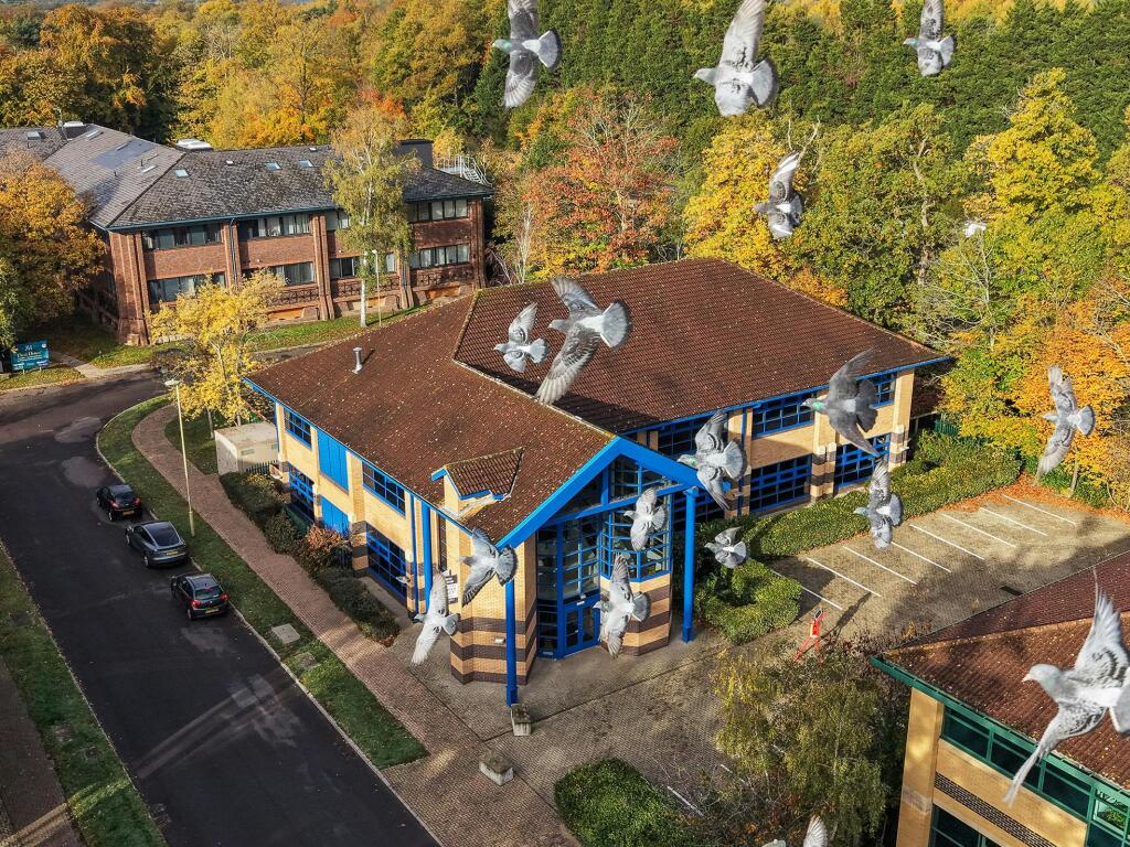 Aspen House 35 (drone).jpg