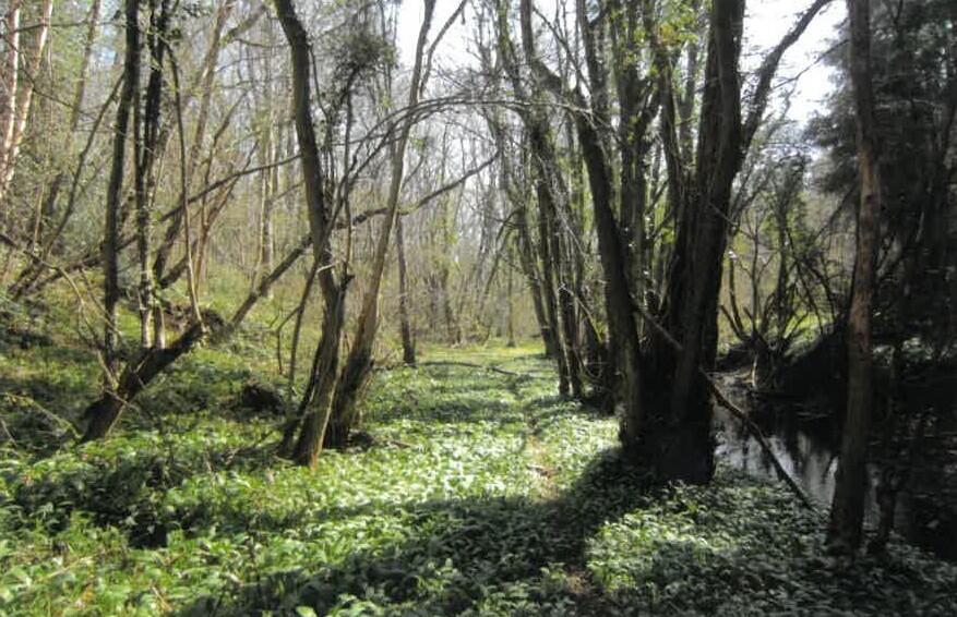Main image of property: Westwood Covert, Glazeley, Bridgnorth WV16
