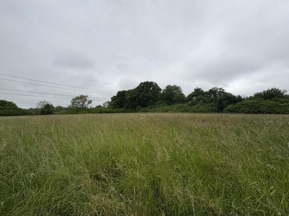 Photo 47