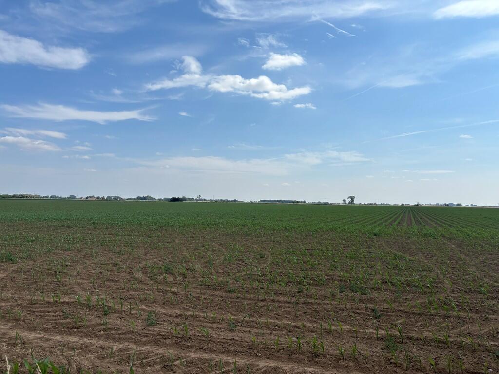 Main image of property: Arable Land To Let by Informal Tender