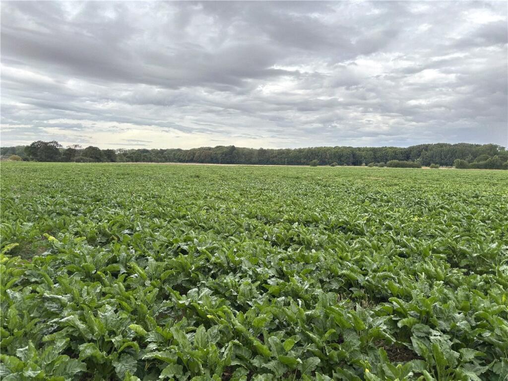 Main image of property: Lot 3 - Land At Owston, Doncaster, South Yorkshire, DN5
