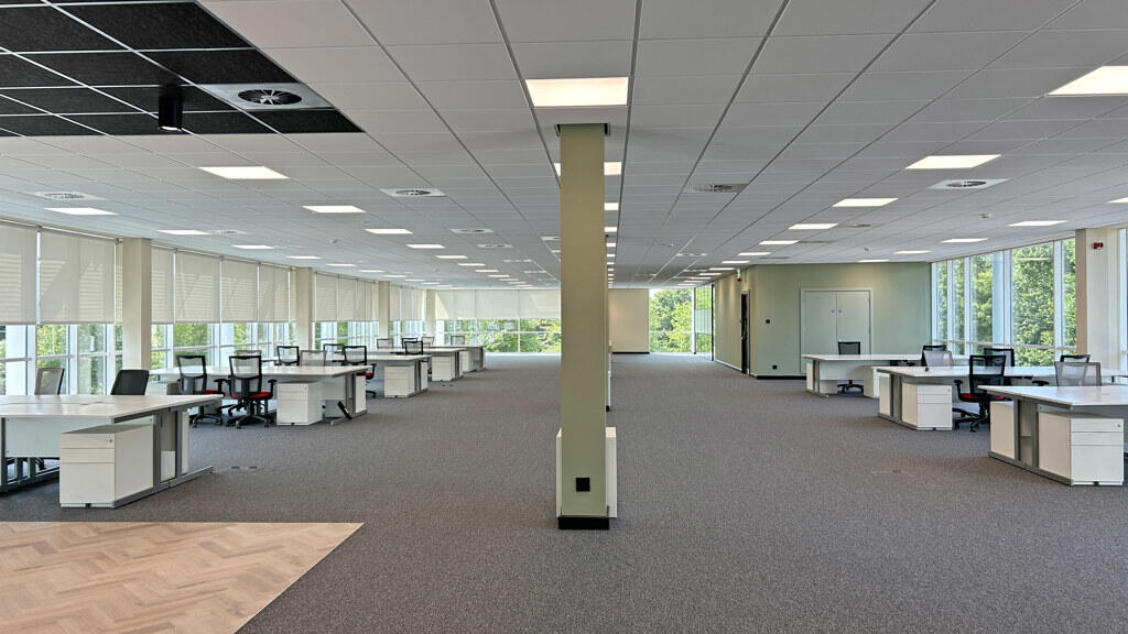 1st fl suite