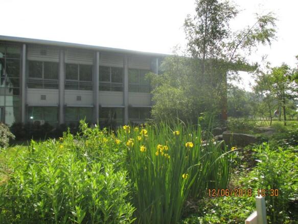 Rear of building