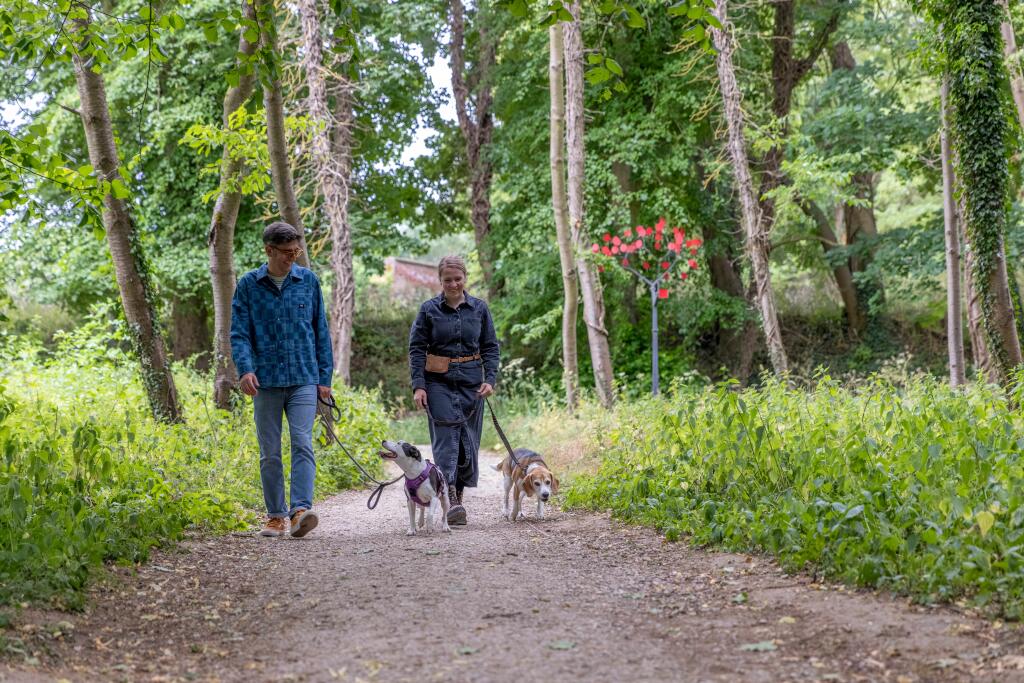 Walking routes on your doorstep