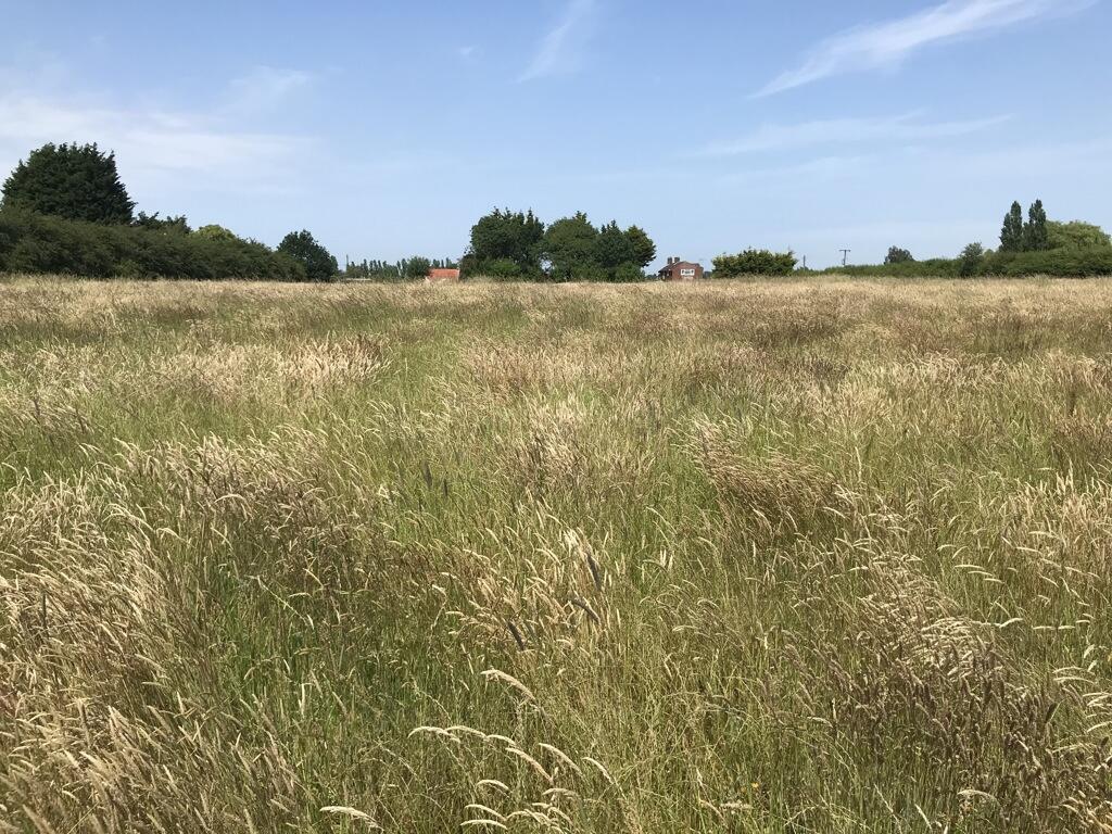 Main image of property: Land Off, Goxhill Road, Barrow-Upon-Humber, North Lincolnshire, DN19 7EE