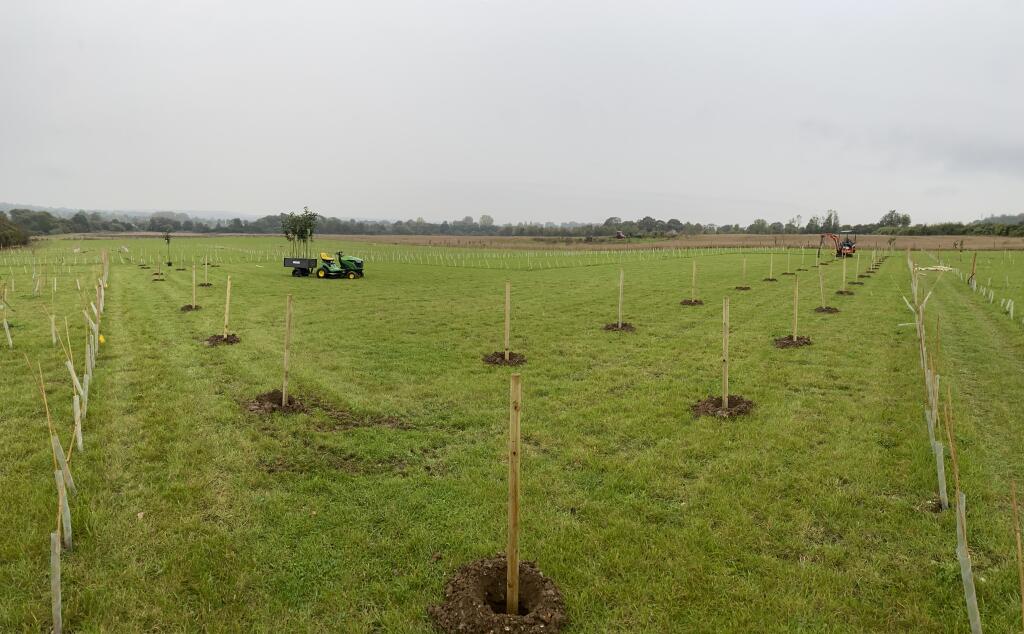 Preparing For Planting