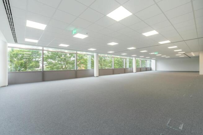 IW280623CORB3206.jpg