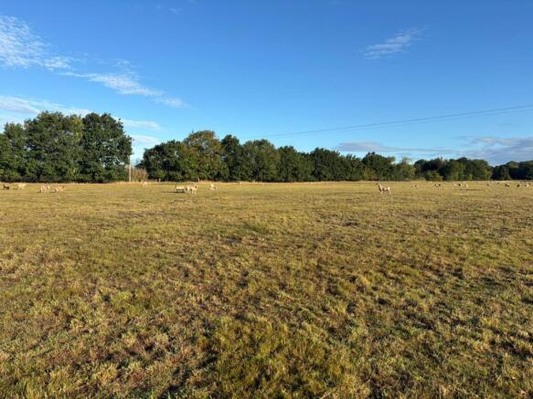 Land