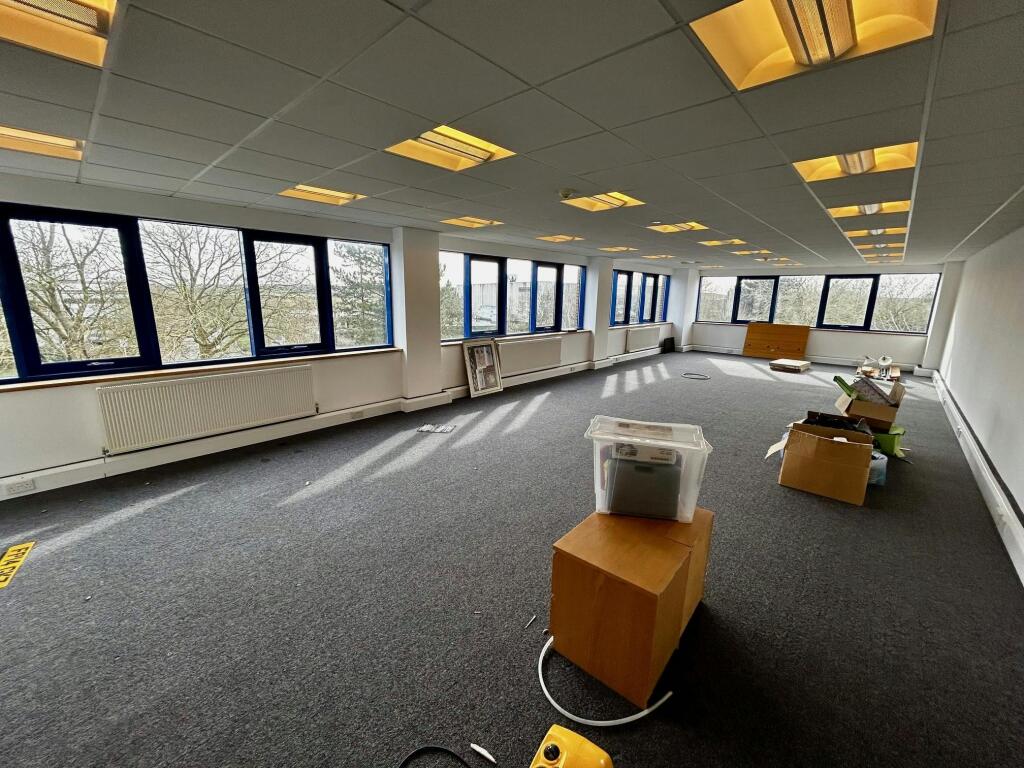 pic 5.jpg