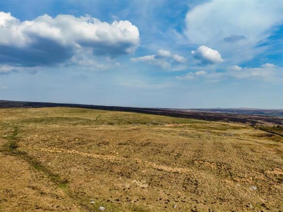 DJI_20250429160041_0726_D.jpg