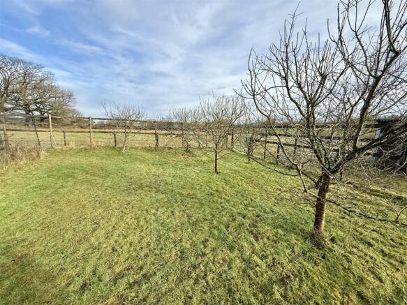 Orchard
