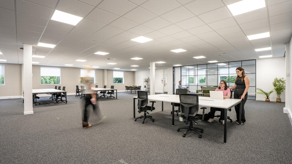 Sample fit-out