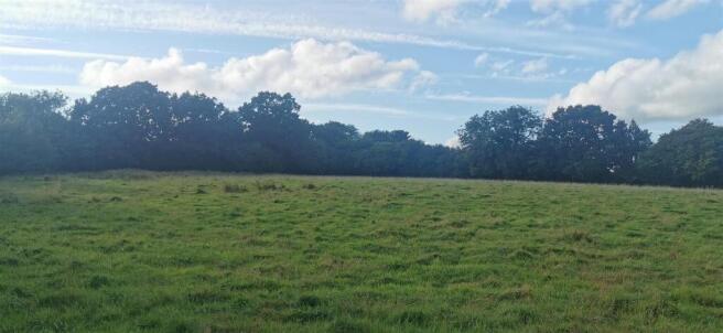 Lot 1 Northern Field Looking West