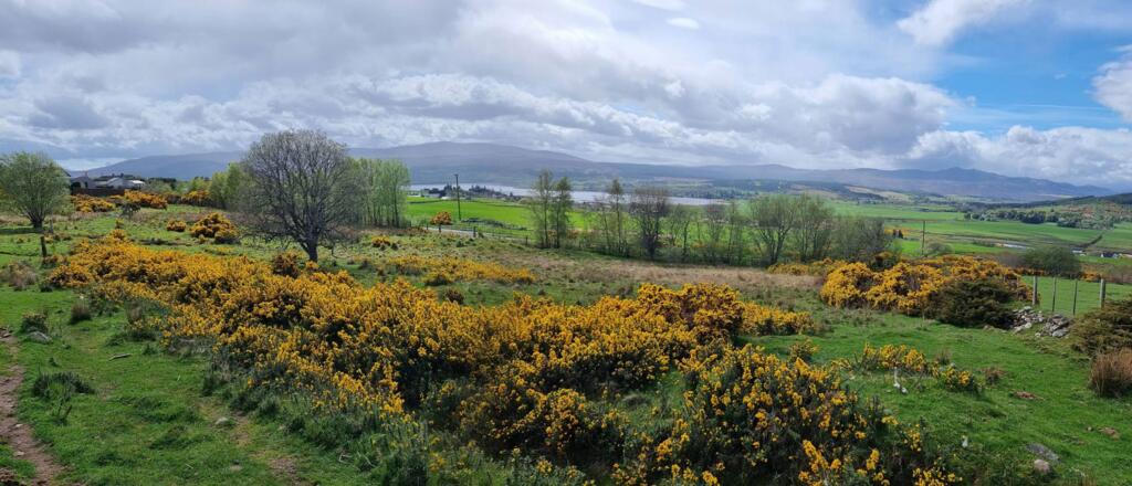 Main image of property: Land at Tulloch Hill, Bonar Bridge, Ardgay, IV24 3AS