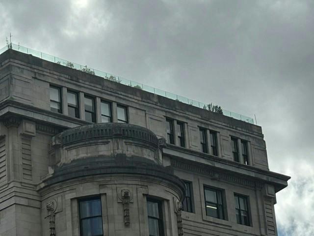 Rooftop terrace.jpg