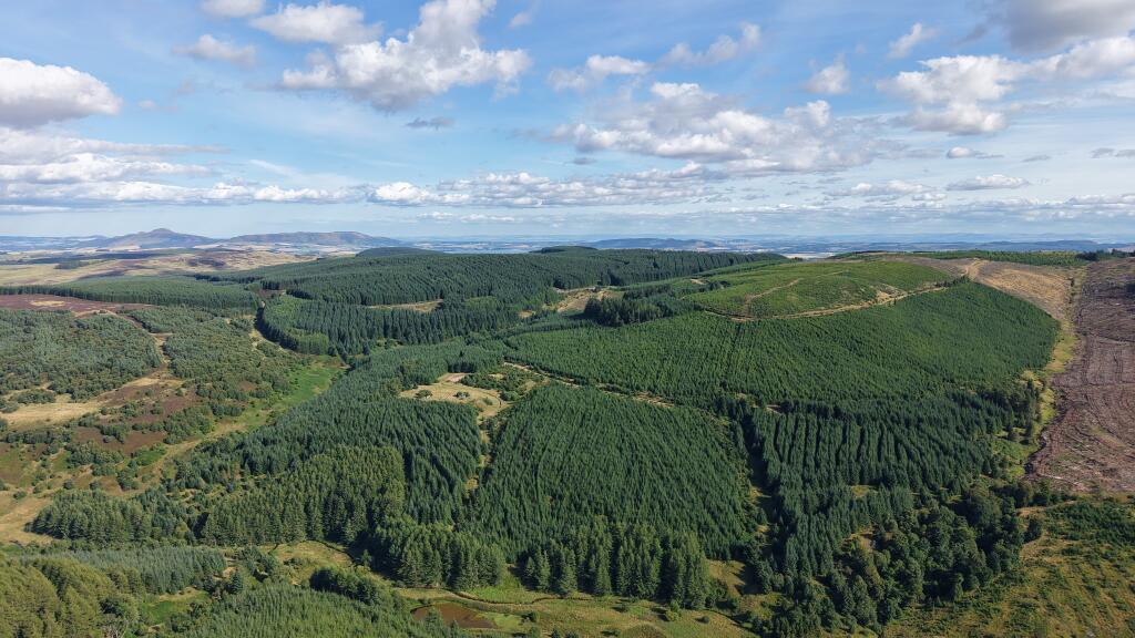 Main image of property: Rashiehill & Northhill Forest, Near Kinross, Perthshire